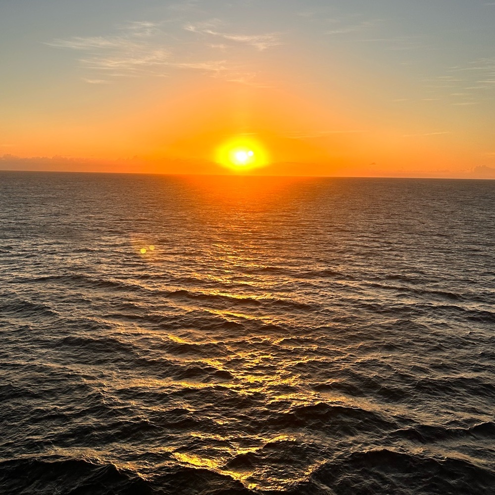 Posting for live show